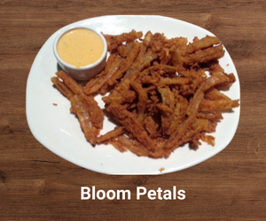 Outback Steakhouse - Bloom Petals